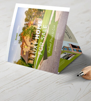 Big Eye Samall Banner 1200 X 800